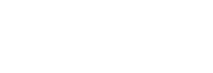 ANA Logo reverse